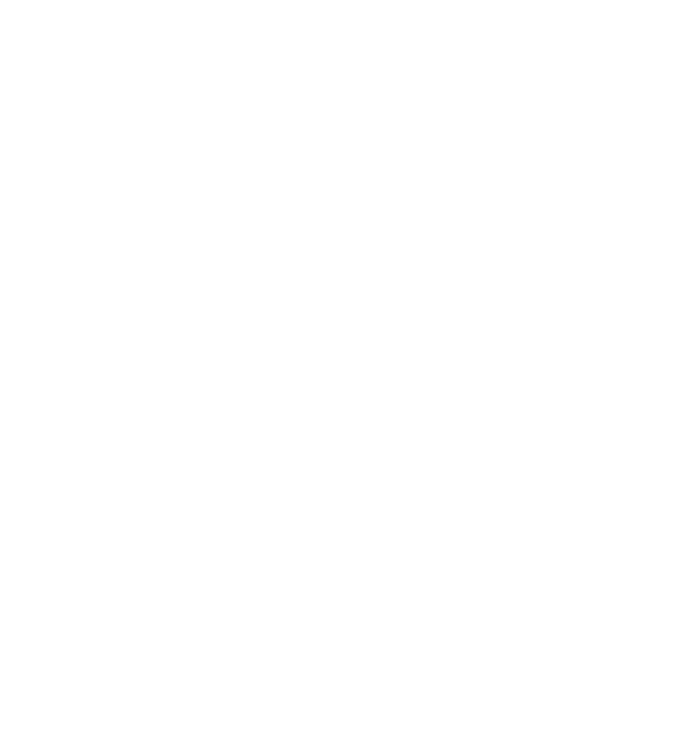 Partner logo 3
