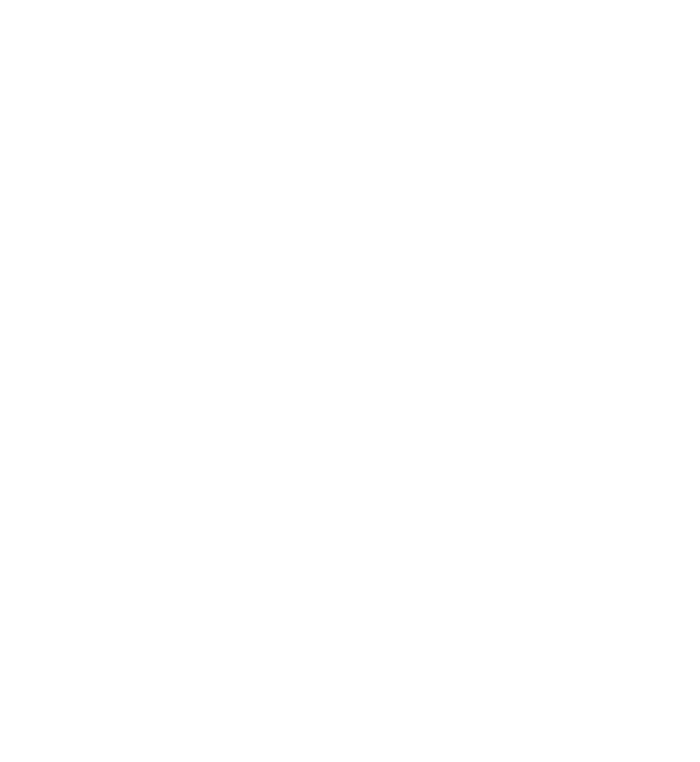 Partner logo 5